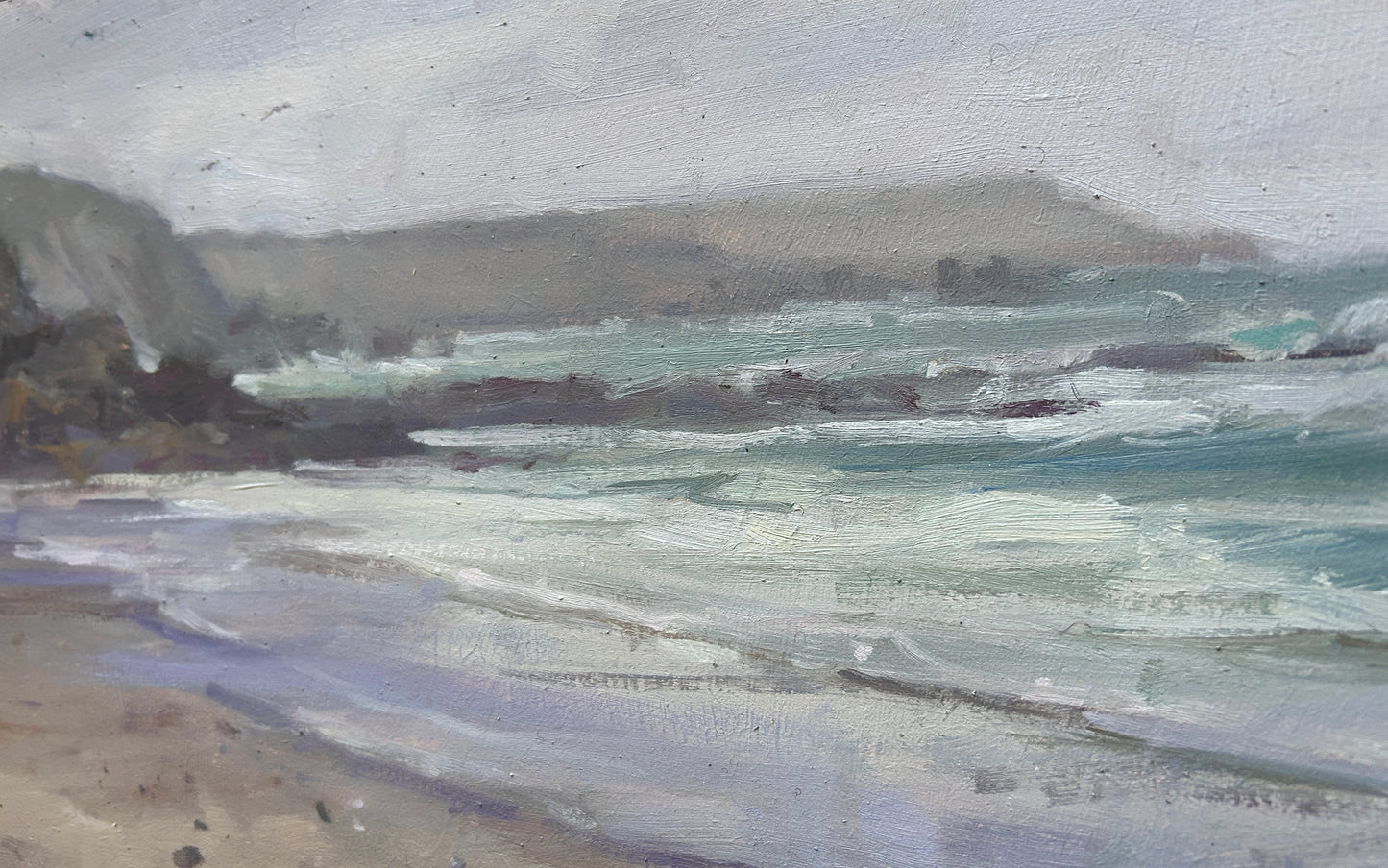 Muzzle, Coverack Sands