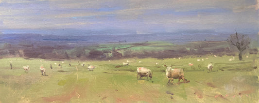 Long View with Sheep