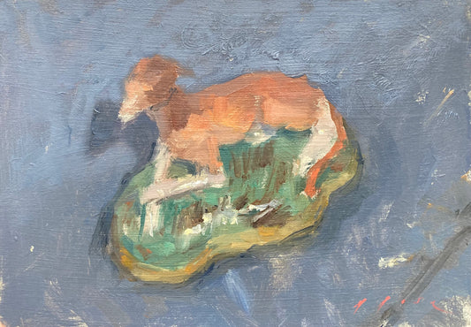 Staffordshire Whippet