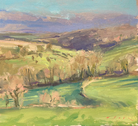 Day 8 Exmoor Shadows