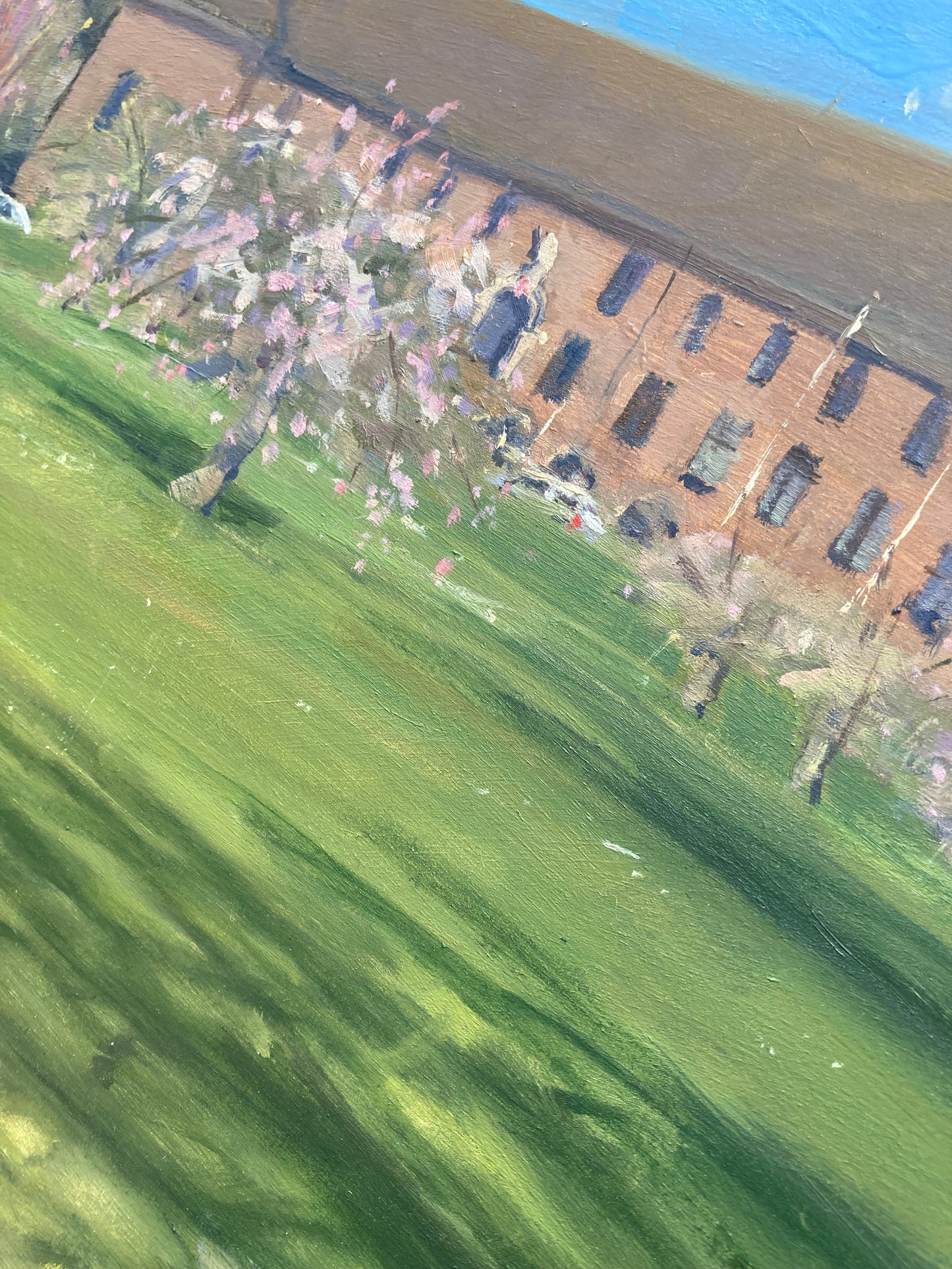 University of Exeter Cherry Tree Lawn