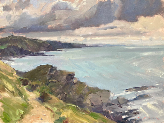 Coast Path at Hartland