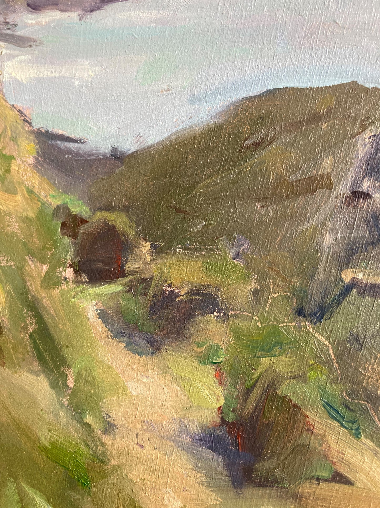 Coast Path at Hartland