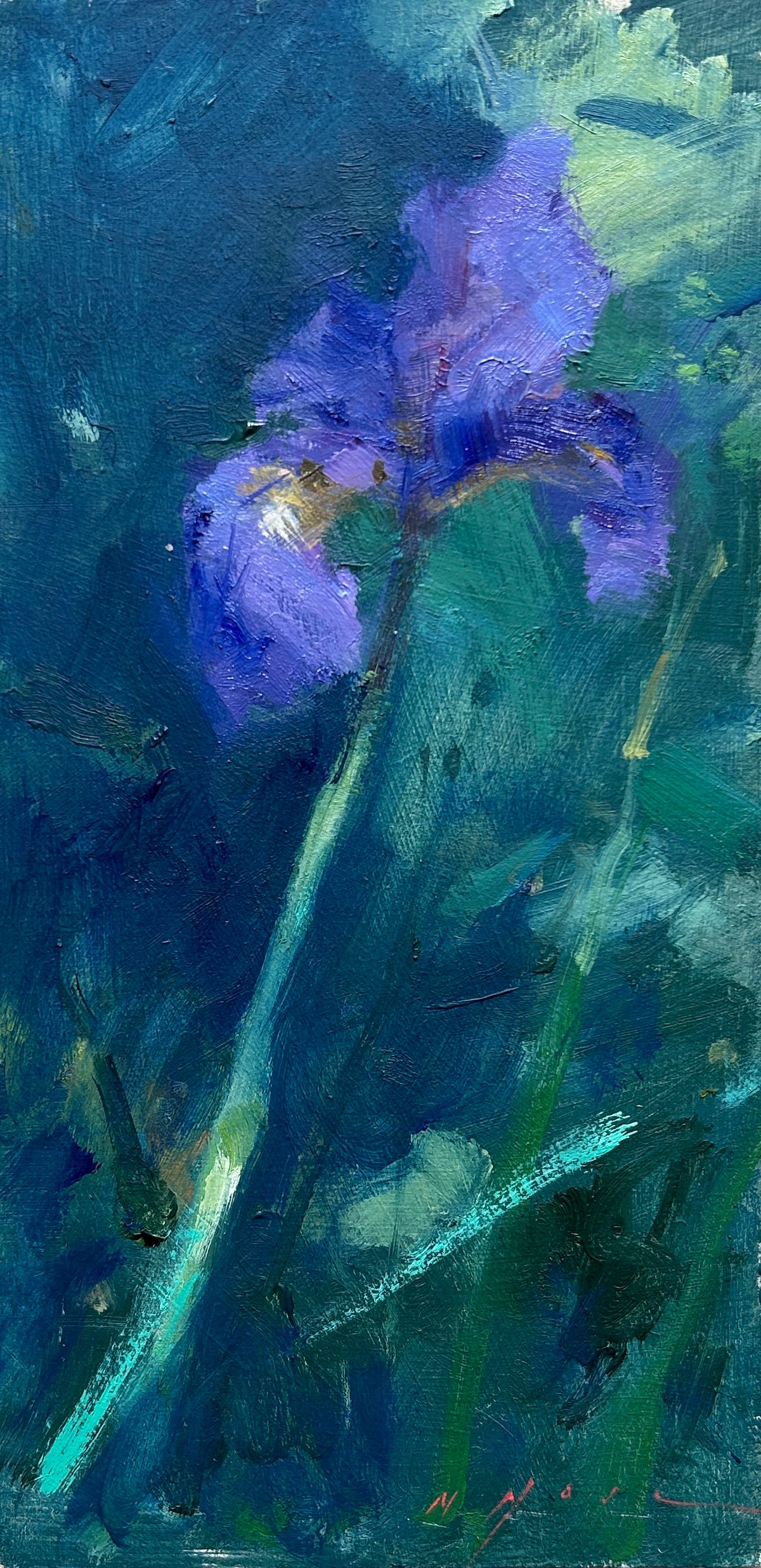 Iris Sketch