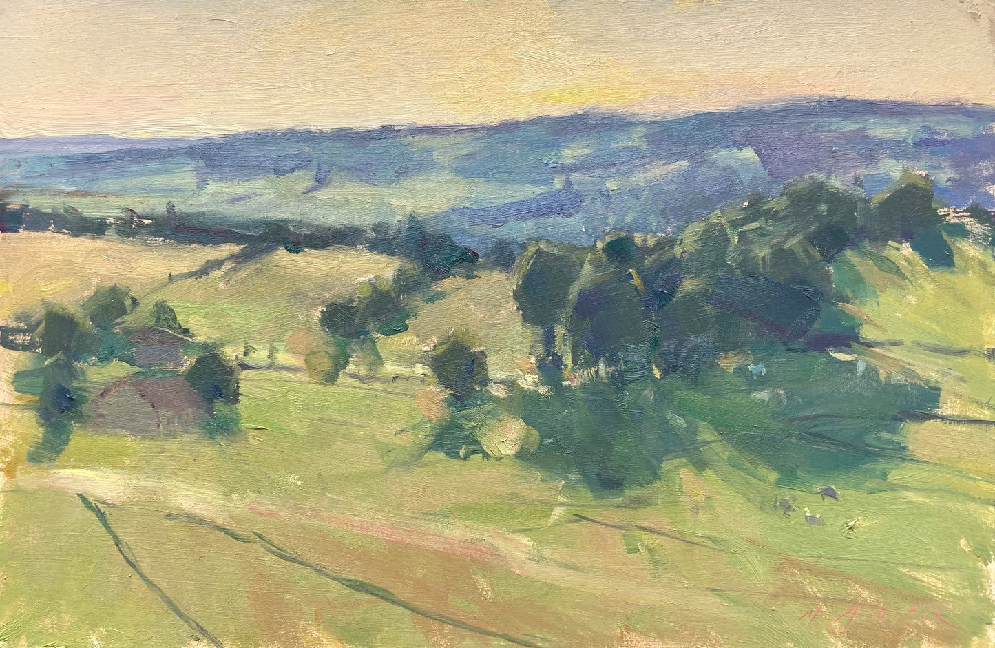 Rolling Fields and Tree Shadows