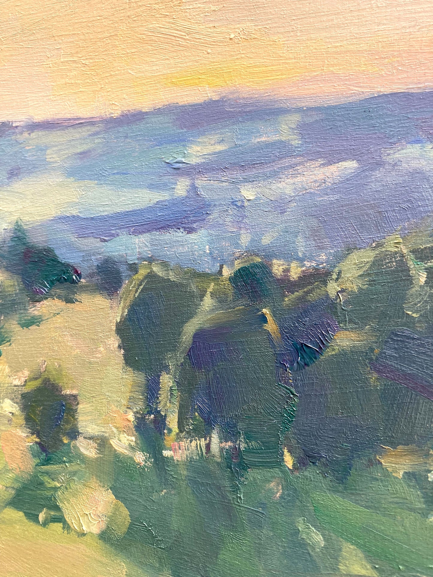 Rolling Fields and Tree Shadows