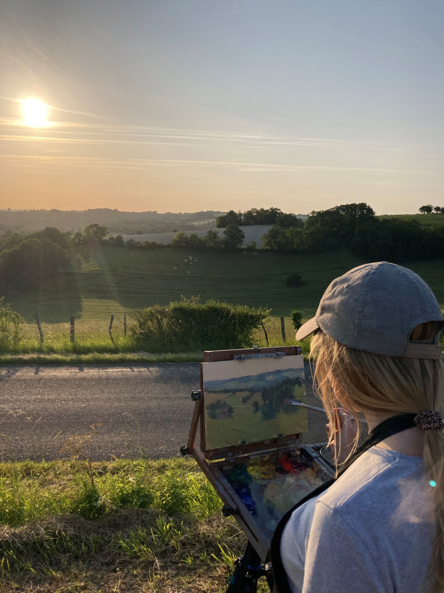 Rolling Fields and Tree Shadows