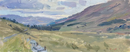 Looking Down Glen Clova