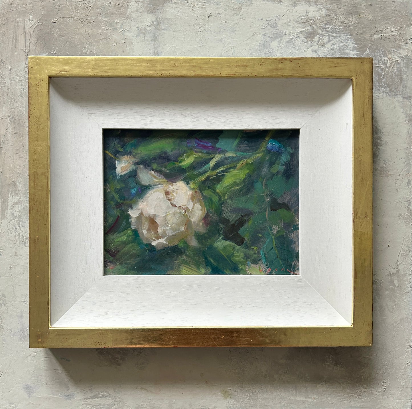 Garden Rose