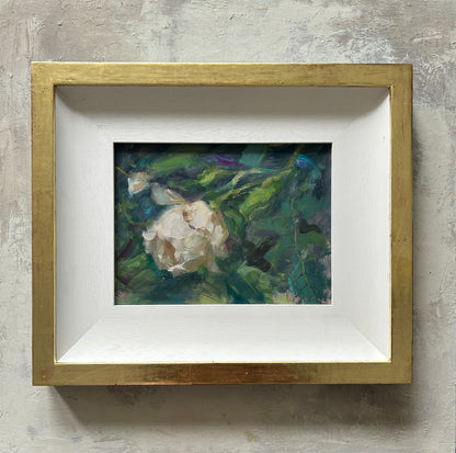 Garden Rose