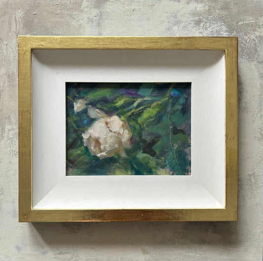 Garden Rose