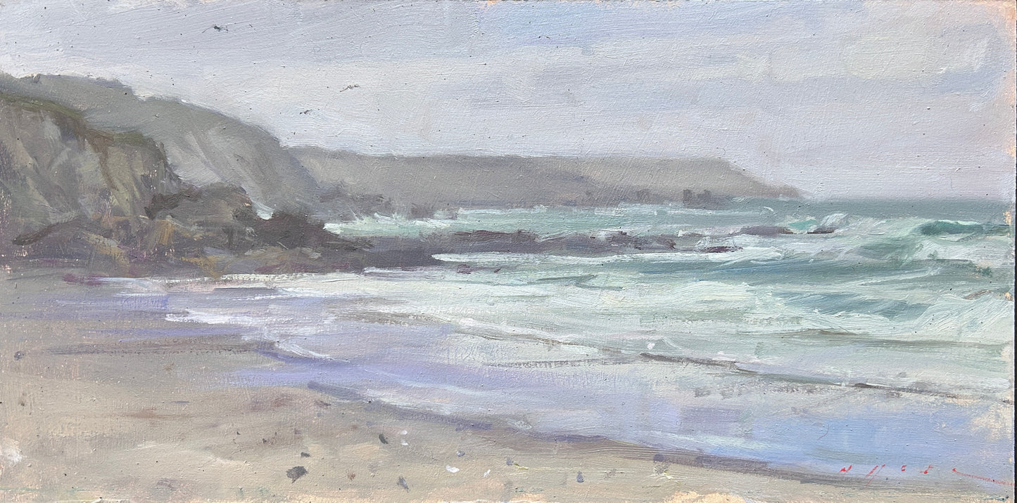 Muzzle, Coverack Sands