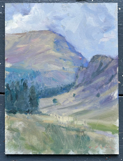 Mountain Study