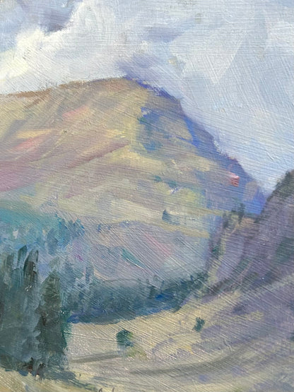 Mountain Study
