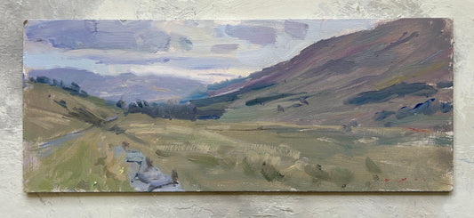 Looking Down Glen Clova
