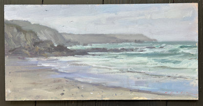 Muzzle, Coverack Sands
