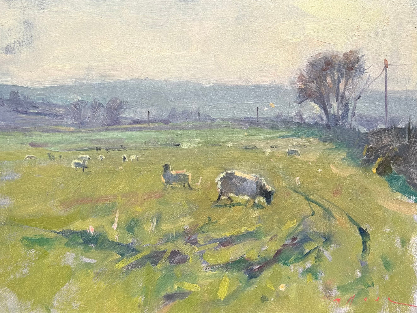 Sheep Against the Light