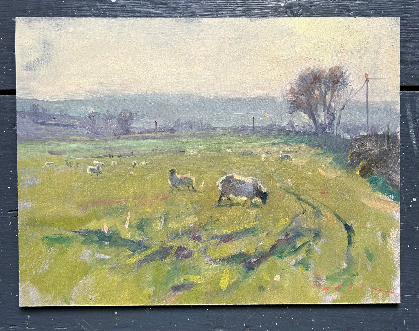 Sheep Against the Light