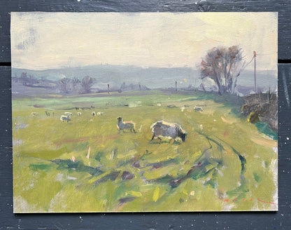 Sheep Against the Light