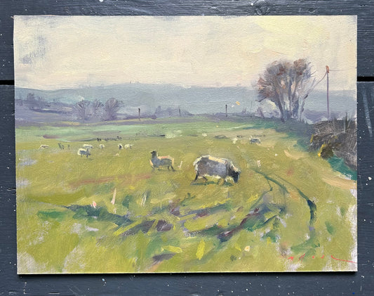 Sheep Against the Light