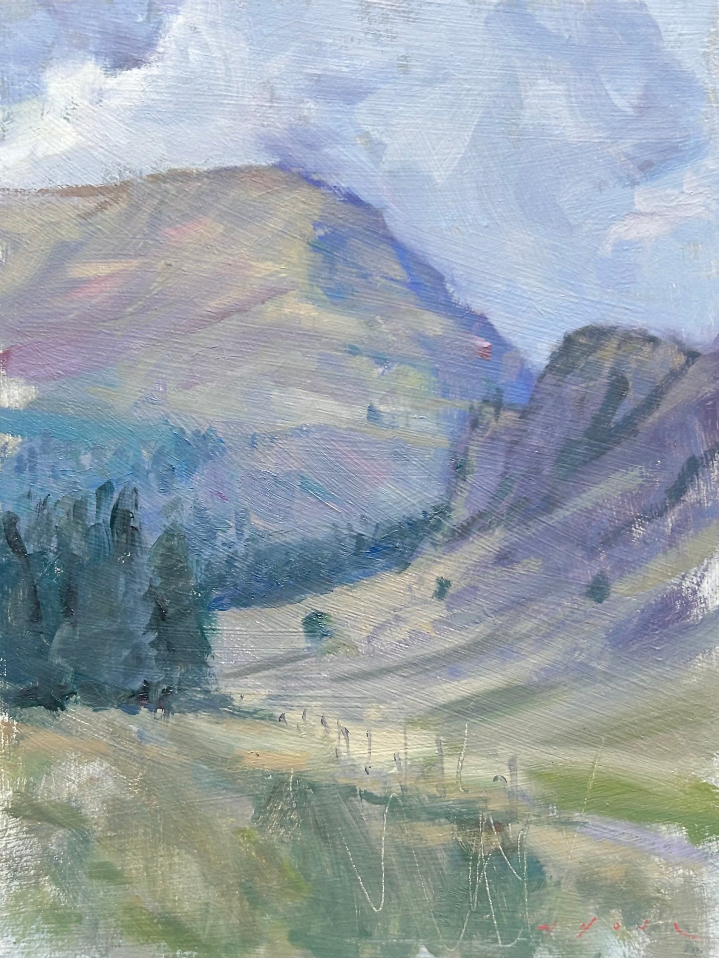 Mountain Study