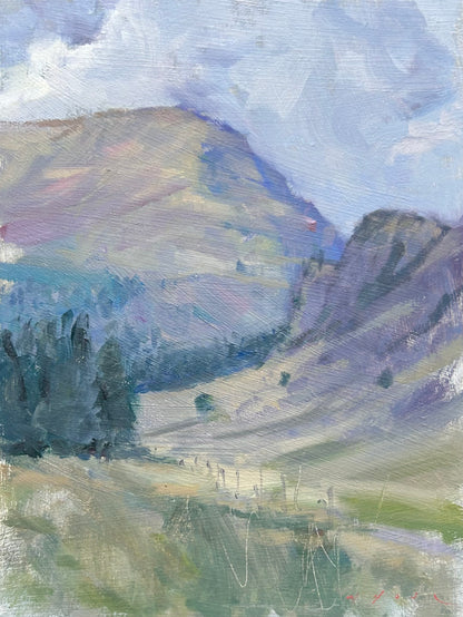 Mountain Study