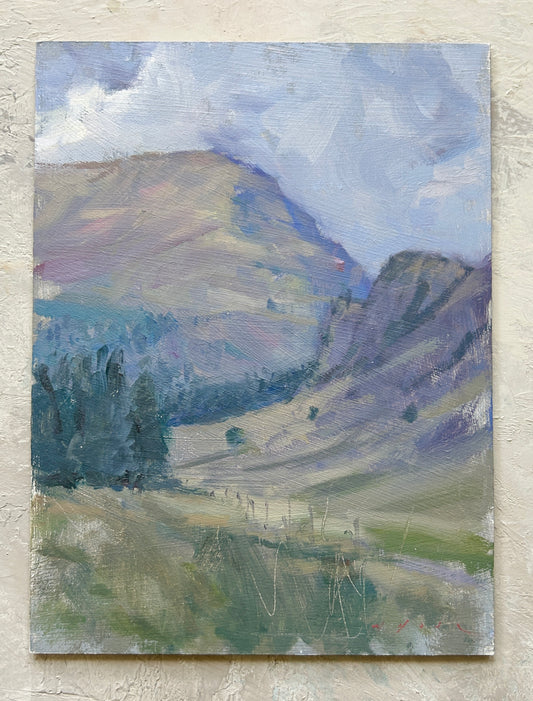 Mountain Study