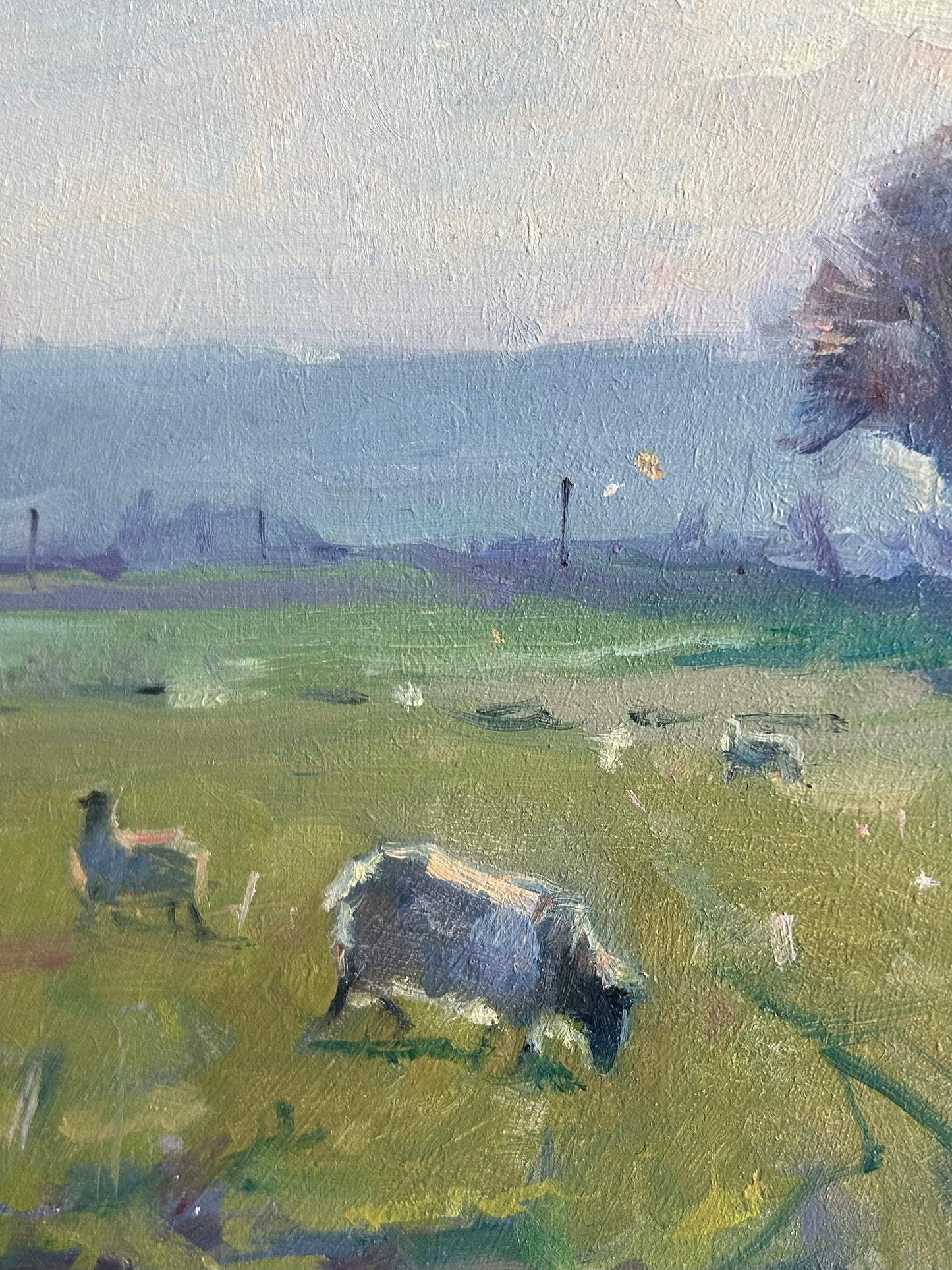 Sheep Against the Light
