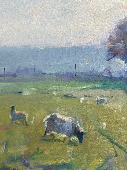 Sheep Against the Light