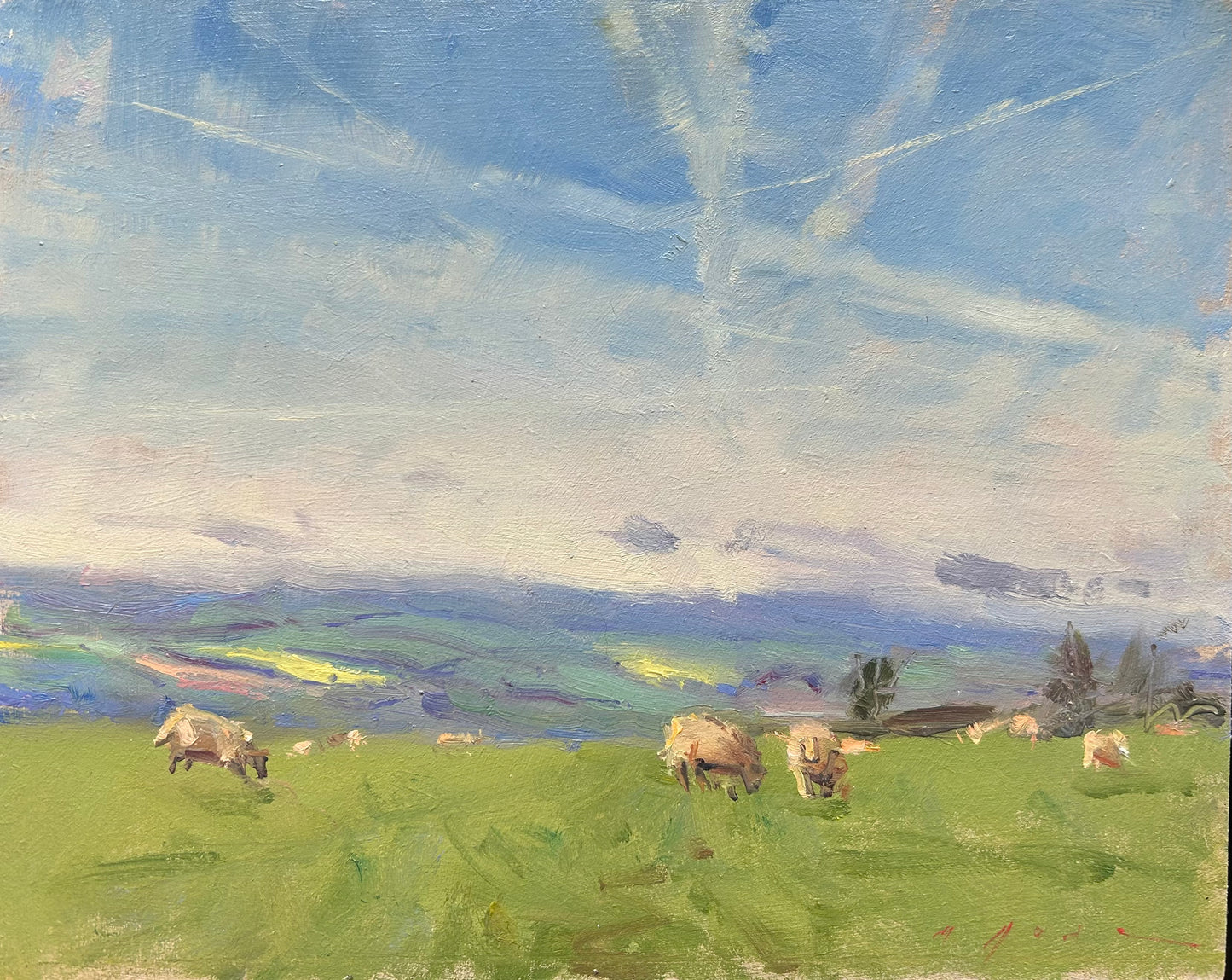 Vapourtrails and Sheep