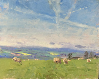 Vapourtrails and Sheep