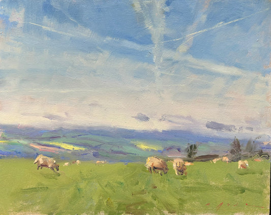 Vapourtrails and Sheep