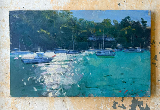 Boats and Sparkle, Newton Ferrers