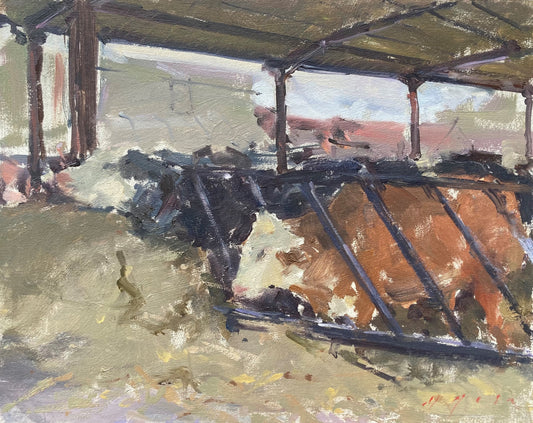 Barn Cattle