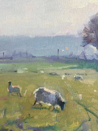 Sheep Against the Light
