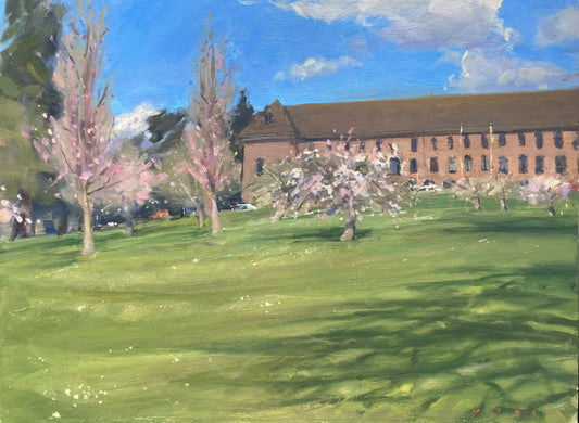 University of Exeter Cherry Tree Lawn