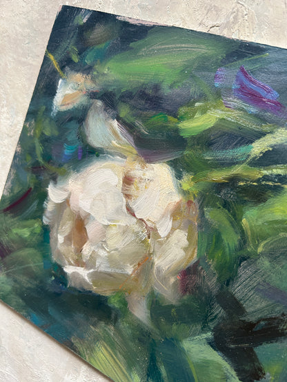 Garden Rose