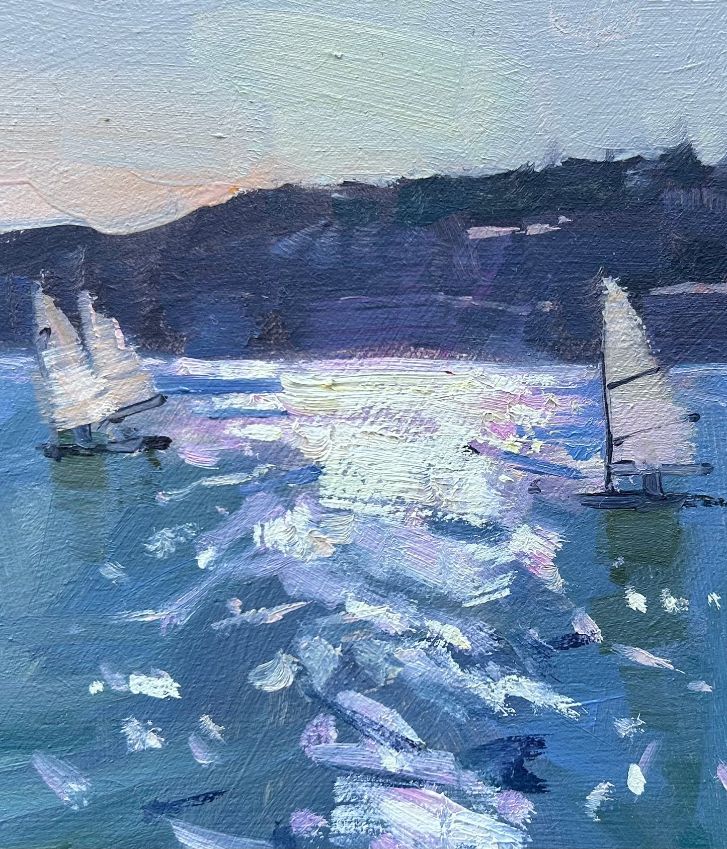 Yachts Against the Light, Salcombe